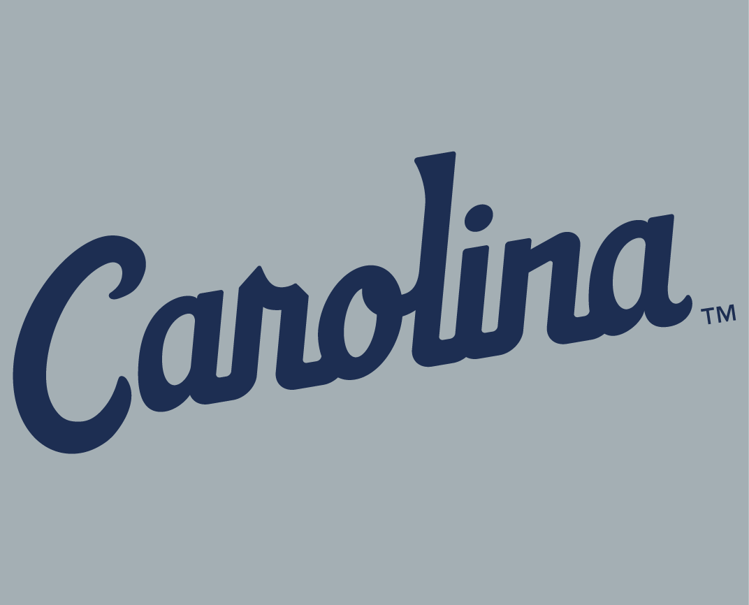 North Carolina Tar Heels 2015-Pres Wordmark Logo t shirts DIY iron ons v8